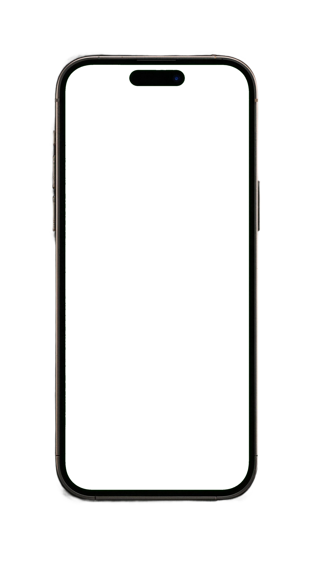 iPhone TFG app